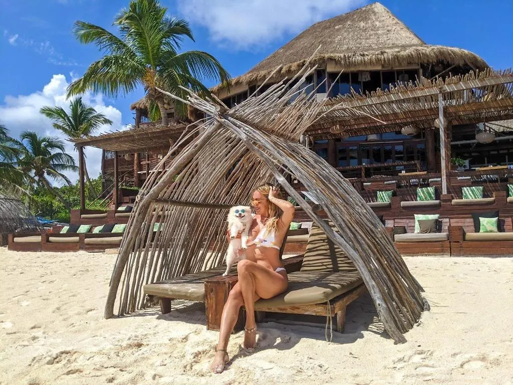 Apartmán Casita Alyssa Traveler'S Oasis Tulum 0*,  Mexiko
