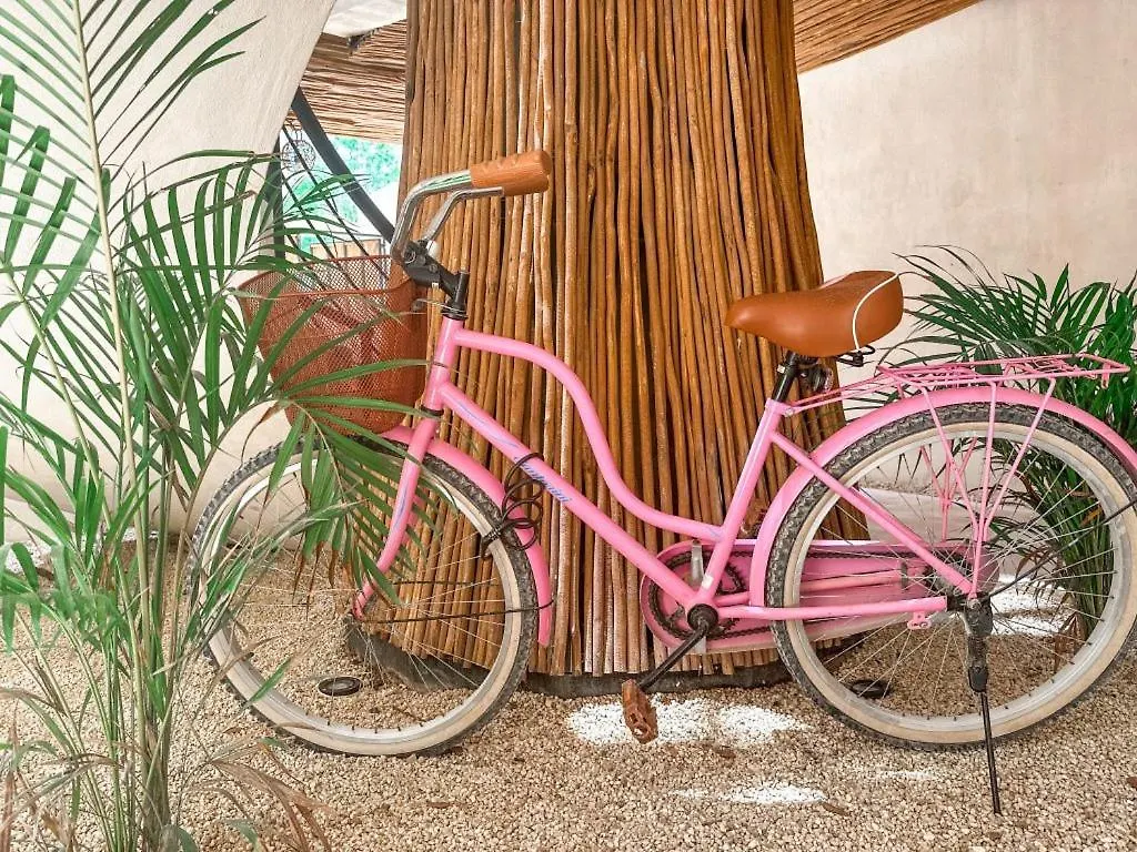 Apartmán Casita Alyssa Traveler'S Oasis Tulum Mexiko